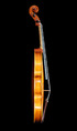 A.stradivari 1703 S-model