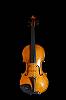 A.stradivari 1703 S-model